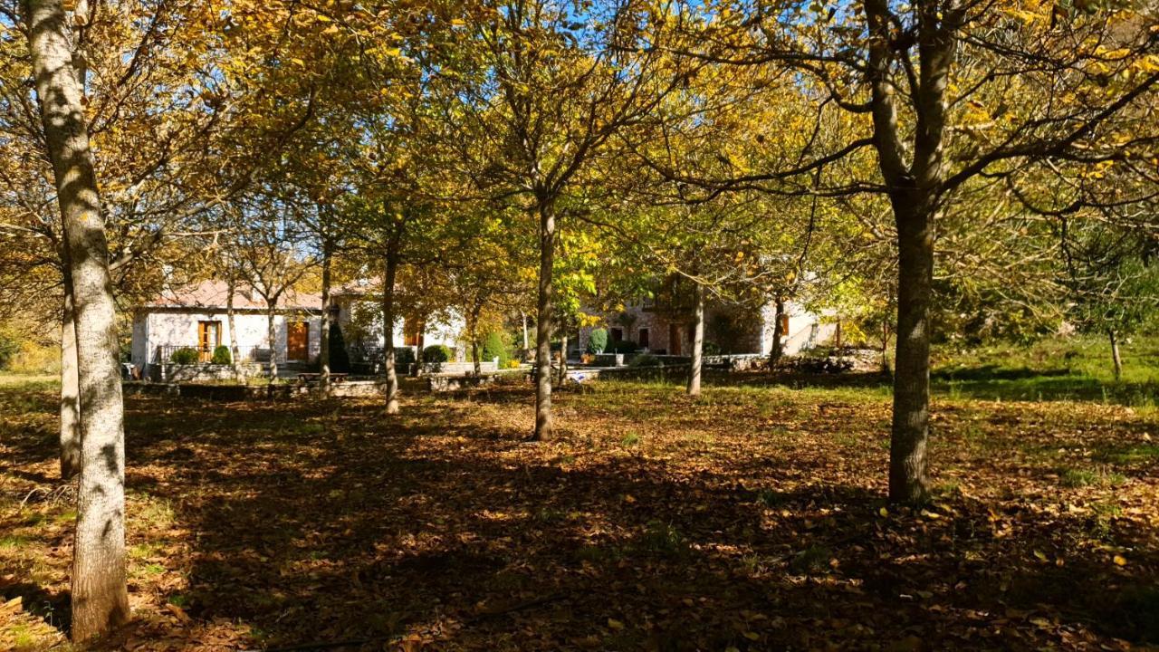 Andrea Sofi Guesthouse Dimitsana Buitenkant foto
