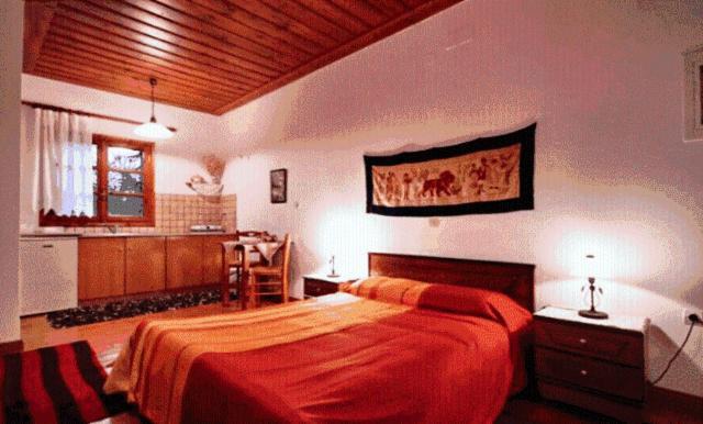 Andrea Sofi Guesthouse Dimitsana Buitenkant foto