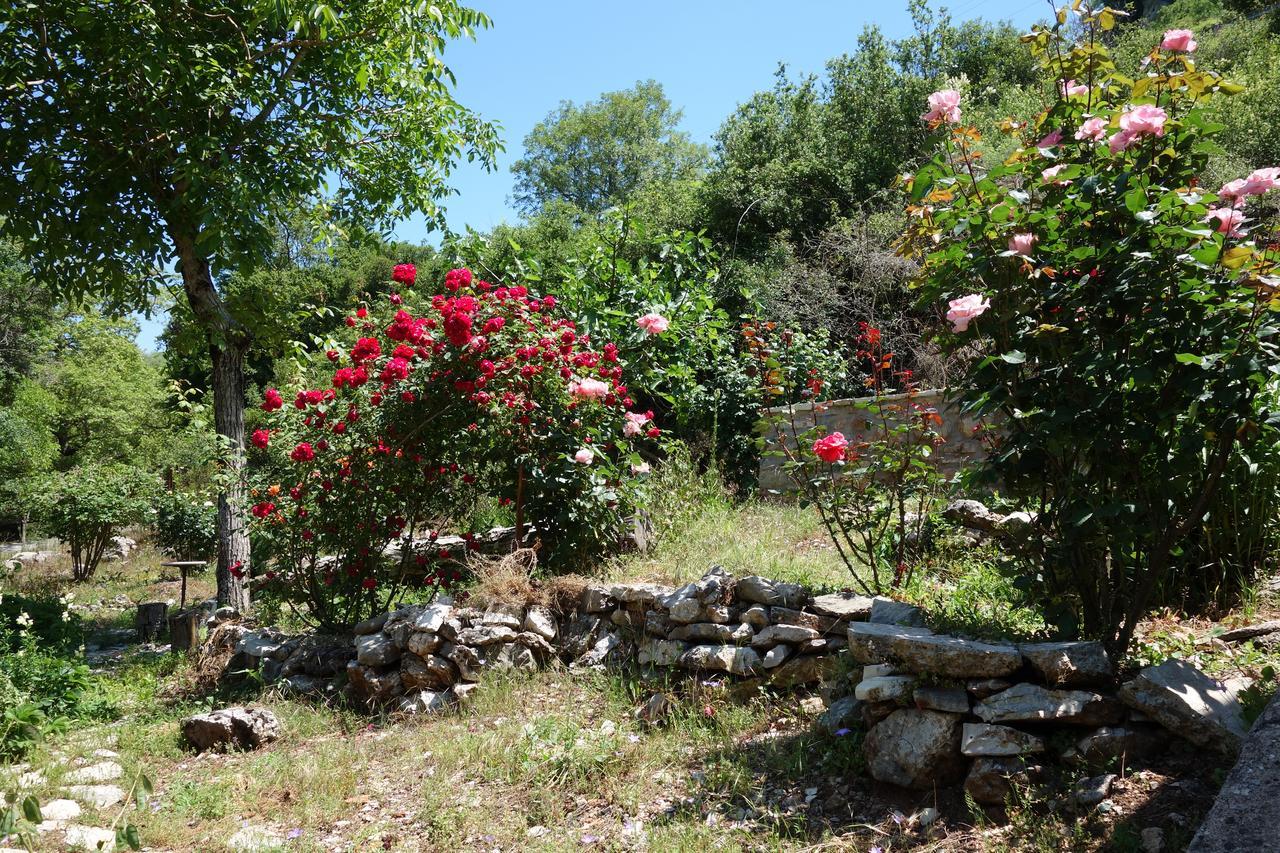 Andrea Sofi Guesthouse Dimitsana Buitenkant foto