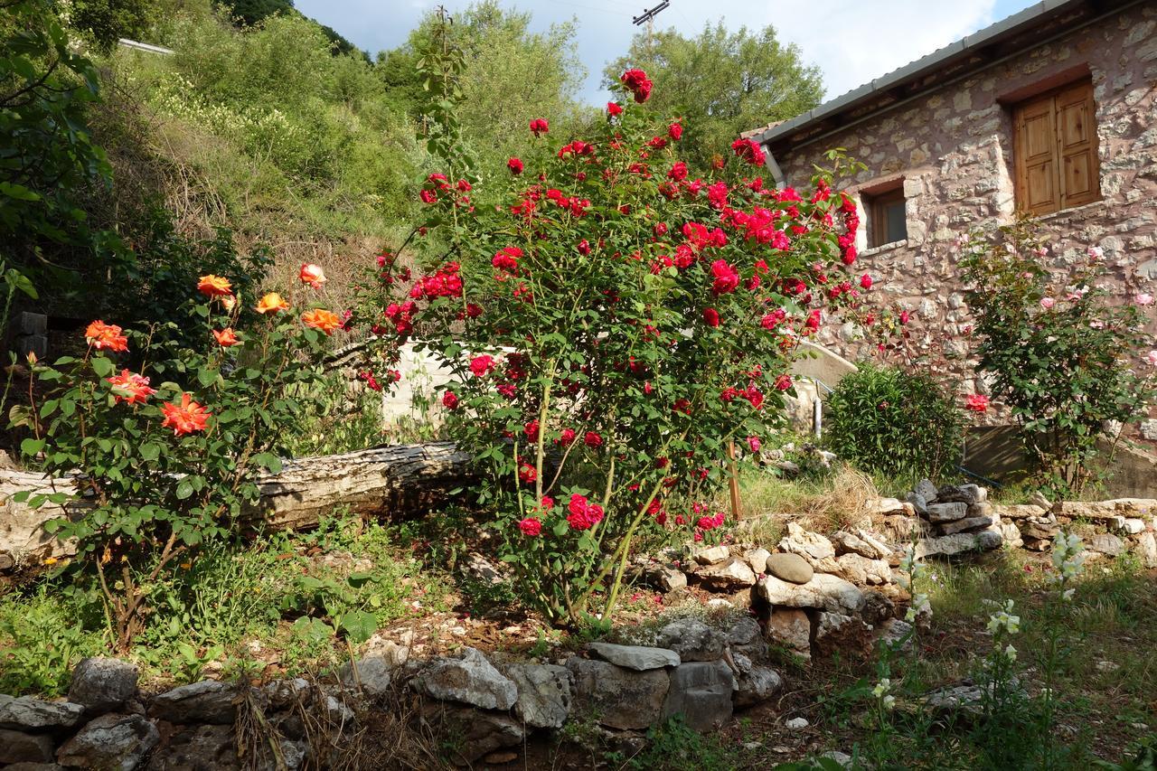 Andrea Sofi Guesthouse Dimitsana Buitenkant foto